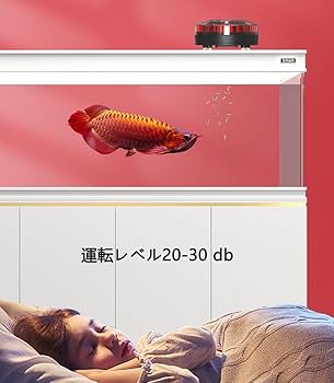 水槽 LEDライト フィルター 自動給餌器 説明書付き Amazon | 自動給餌器 魚 水槽用餌やり器 自動餌やり機